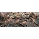 Textured rock surface with various shades of brown and gray, showcasing natural patterns and crevices.