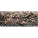 Textured rock surface with various shades of brown and gray, showcasing natural patterns and crevices.