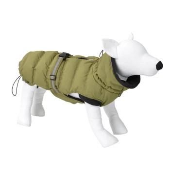 Ein weißer Schaufensterhund, der eine grüne Daunenjacke mit Kapuze und verstellbaren Riemen trägt, um ein stilvolles Haustierbekleidungsdesign zu präsentieren.