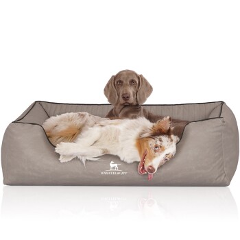 Ein gemütliches Hundebett in neutralem Grauton mit einem Logo, das "KNUFFELWUFF" liest, mit zwei Hunden, die bequem liegen.