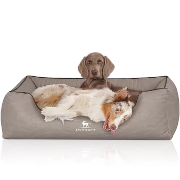 Orthopädisches Hundebett Columbia aus laser-gestepptem Kunstleder hellgrau XXL Ein gemütliches Hundebett in neutralem Grauton mit einem Logo, das "KNUFFELWUFF" liest, mit zwei Hunden, die bequem liegen.