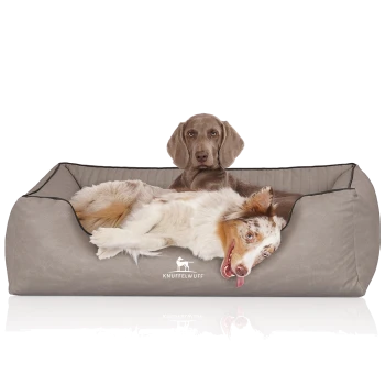Ein gemütliches Hundebett in neutralem Grauton mit einem Logo, das "KNUFFELWUFF" liest, mit zwei Hunden, die bequem liegen.