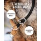Nahaufnahme eines stilvollen schwarzen Nylon-Hundehalsbands und einer Leine mit dem Text: "Stilvoll ins Abenteuer," "Wetterfest & Robust," "Langlebiges Nylon."