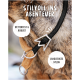 Nahaufnahme eines stilvollen schwarzen Nylon-Hundehalsbands und einer Leine mit dem Text: "Stilvoll ins Abenteuer," "Wetterfest & Robust," "Langlebiges Nylon."