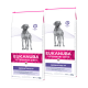 Eukanuba Veterinärdiäten Dermatosis FP Hundefutterbeutel, mit einem grauen Hund auf der Vorderseite, jeder wiegt 12 kg.