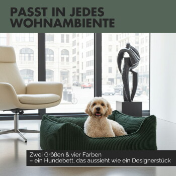 Ein entspannter Französischer Bulldogge liegt auf einem grünen, gerippten Hundebett mit der Aufschrift "Anti-Rutsch" und einer Nahaufnahme seines rutschfesten Bodens.