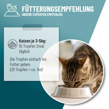 Fütterungsempfehlung für Katzen 3-5 kg: 10 Tropfen zweimal täglich dem Futter hinzufügen, mit Bild einer getigerten Katze, die aus einer Schale frisst.