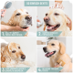 Schritt-für-Schritt-Anleitung auf Deutsch zum Waschen eines Golden Retrievers: nass, Shampoo, ausspülen und bürsten. "So einfach geht's."