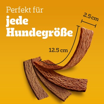 Hundeleckerlis auf einem leuchtend gelben Hintergrund präsentiert, mit dem Text "Perfekt für jede Hundgröße" und den Maßen 12,5 cm und 2,5 cm.