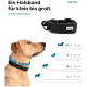 Ein Golden Retriever trägt ein schwarzes verstellbares Halsband mit einem silbernen Anhänger, neben Größenoptionen XS bis L (22-61 cm) für verschiedene Hunderassen.
