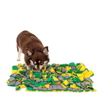 Ein brauner Hund schnüffelt an einer bunten Schnüffelmatte aus grünen, gelben und grauen Stoffstücken, die für interaktives Spielen entworfen wurde.