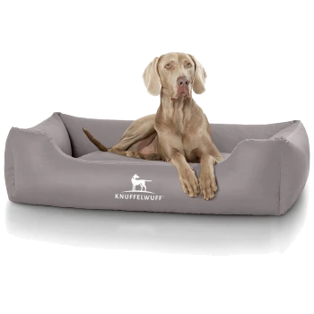 Ein hellgraues Hundebett mit dem Logo 'KNUFFELWUFF', das prominent angezeigt wird, mit einem entspannten Hund, der bequem darauf liegt.