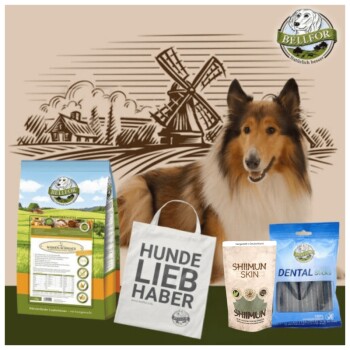 Collie Futter Set