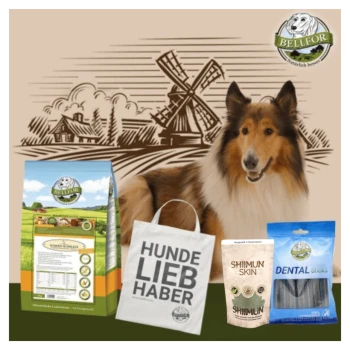 Ein Collie sitzt neben Haustierprodukten: BELLFOR Hundefutter, "HUNDE LIEBHABER" Tasche, SHIIMUN SKIN Leckerlis und DENTAL Sticks, mit ländlichem Hintergrund.