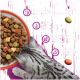Graugestreifte Katze frisst Kroketten aus einer orangefarbenen Schale. Deutscher Text: Unterstützt Immunsystem, Haut & Fell, Harnwege, Verdauung