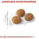 Drei braune Haustierfutterkroketten sind auf einer skizzierten Umrisslinie mit Maßmarkierungen dargestellt, begleitet von dem Text "ANGEPASSTE KROKETTENGRÖSSE."