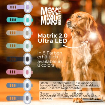 LED-Hundehalsbandlichter in 8 Farben mit 3-fach verstellbarem Silikonband, gezeigt an einem Golden Retriever.