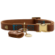 Brauner Leder-Hundehalsband mit blauer Naht, goldener Schnalle und einem angehängten Charm, der ein Logo eines Tiergeschäfts zeigt.