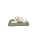 Weißer flauschiger Hund liegt auf einer olivgrünen rechteckigen Haustiermatte mit kleinem türkisfarbenem Etikett vor weißem Hintergrund