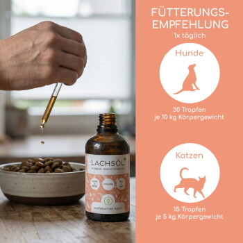 Pipette träufelt LACHSÖL aus bernsteinfarbener Flasche auf Trockenfutter; seitlicher Text 'DOSIERUNG 1x täglich' zeigt Dosisangaben für Hund und Katze.