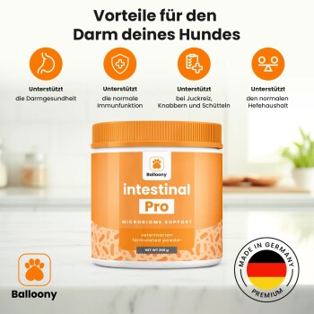 German Shephy Darmpulver Intestinal Pro 200 g