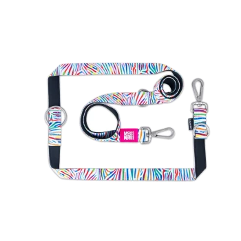 Bunt gestreifte Hundeleinen- und Geschirr-Set mit Metallclips und einem pinken Anhänger mit der Aufschrift „Max & Molly“.
