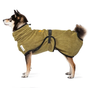 Ein Shiba Inu trägt ein grünes, gemütliches Hundetuch mit hohem Kragen und schwarzen Riemen, steht im Profil vor einem weißen Hintergrund.