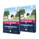 Mature & Senior Medium Breed poulet 2x3 kg
