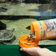 Eine Hand, die Schildkrötenfutter aus einem JBL Pro Terra Behälter in eine orange Schüssel gießt, mit einer Schildkröte, die im Hintergrund schwimmt.