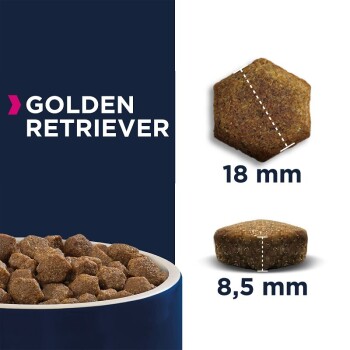 Breed Specific Golden Retriever 2x12 kg