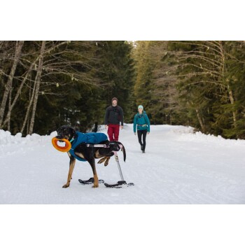 Ein schwarz-brauner Hund in einem blauen Mantel nutzt eine Rollhilfe im Schnee und hält einen orangefarbenen Frisbee, während zwei Personen in der Nähe gehen.
