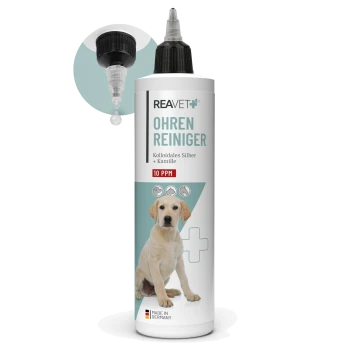 Flasche REAVET Ohren Reiniger für Hunde, mit kolloidalem Silber und Kamille, mit Tropferkappe und 10 PPM Etikett.