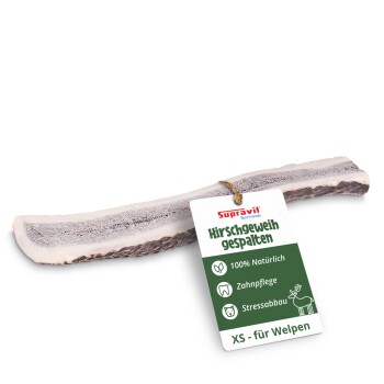 Ein großer, natürlicher Hundeknochen mit rauer Textur und heller Farbe, vor einem weißen Hintergrund.