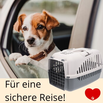 Kleiner braun-weißer Hund lehnt aus dem Autofenster; eine weiß-graue Transportbox und der Text 'Für eine sichere Reise!'.