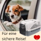 Kleiner braun-weißer Hund lehnt aus dem Autofenster; eine weiß-graue Transportbox und der Text 'Für eine sichere Reise!'.