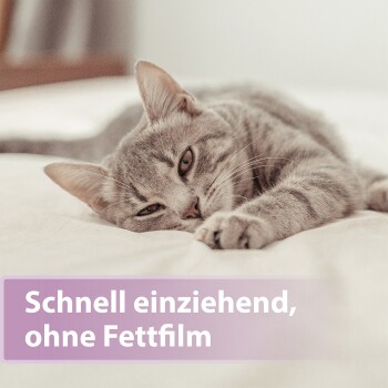Grau getigerte Katze liegt entspannt auf einem weißen Bett; violettes Banner mit der Aufschrift 'Schnell einziehend, ohne Fettfilm'.