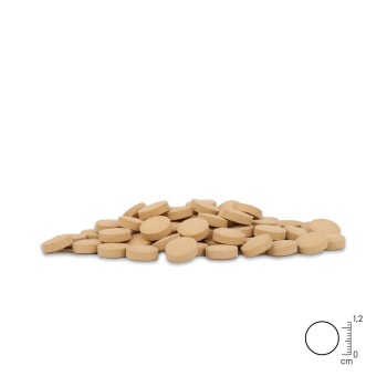 Nahaufnahme eines Golden Retrievers, der mit einem Holzwerkzeug gebürstet wird, mit Text über die Expertenentwicklung in Deutschland.