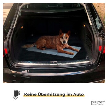 Ein brauner Hund, der auf einer grauen Kühlmatte im Kofferraum eines Autos liegt, mit dem Text "Keine Überhitzung im Auto" darunter.