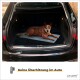 Ein brauner Hund, der auf einer grauen Kühlmatte im Kofferraum eines Autos liegt, mit dem Text "Keine Überhitzung im Auto" darunter.