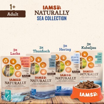 Naturally Adult 12x85g Sea Collection