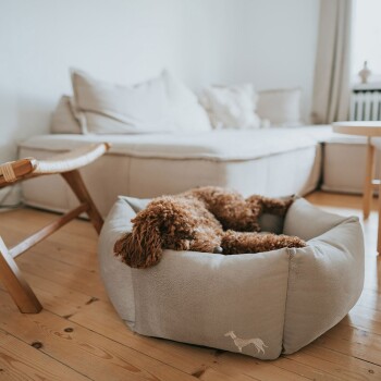 Ein brauner, lockiger Hund schläft friedlich in einem gemütlichen grauen Haustierbett, mit einem hellen Sofa und einem Holzstuhl im Hintergrund.