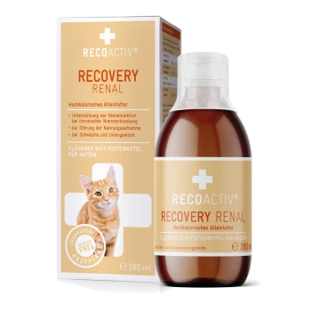 Eine Flasche RECOACTIV Recovery Renal Flüssigdiätfutter für Katzen, 280 ml, mit einer hellorangefarbenen Box, die das Gesicht einer Katze und Gesundheitsansprüche zeigt.