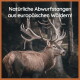 Ein majestätischer Hirsch mit großen Geweihen steht in einem Wald, begleitet von dem Text "Natürliche Abwurfstangen aus europäischen Wäldern!"