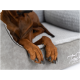 Eine Nahaufnahme der Vorderpfoten eines Hundes, die auf einem plüschigen grauen Hundebett ruhen, wobei das braune Fell und die schwarzen Krallen des Hundes zu sehen sind.