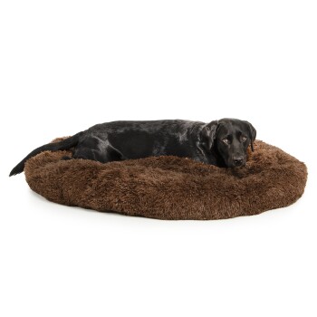 Ein schwarzer Labrador Retriever liegt auf einem runden, flauschigen braunen Hundebett und schaut direkt in die Kamera.