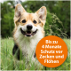 Ein Hund auf einem grasbewachsenen Feld mit einem orangefarbenen Etikett, das besagt: "Bis zu 4 Monate Schutz vor Zecken und Flöhen."