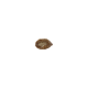 Ein einzelner Haustier-Leckerbissen, der wie ein kleines Oval geformt ist, mit einer braunen äußeren Schicht und einer hellen Füllung, die innen sichtbar ist.