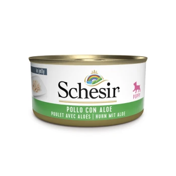 Schesir Welpenfutterdose in Gelee mit dem Etikett "Pollo con Aloe" (Hühnchen mit Aloe), mit einem bunten Logo und einem rosa Welpen-Icon.
