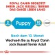 Royal Canin Leitfaden für Jack Russell Terrier, der "Welpe" für 2 Monate und "Erwachsener" für 10 Monate angibt, mit einem Überghinweis.