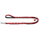 Rote Leder-Hundeleine mit drei Herz-Ausschnitten und einem herzförmigen Anhänger, mit einem stabilen Metallclip an einem Ende.